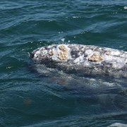 IMG 0001 2 (347)